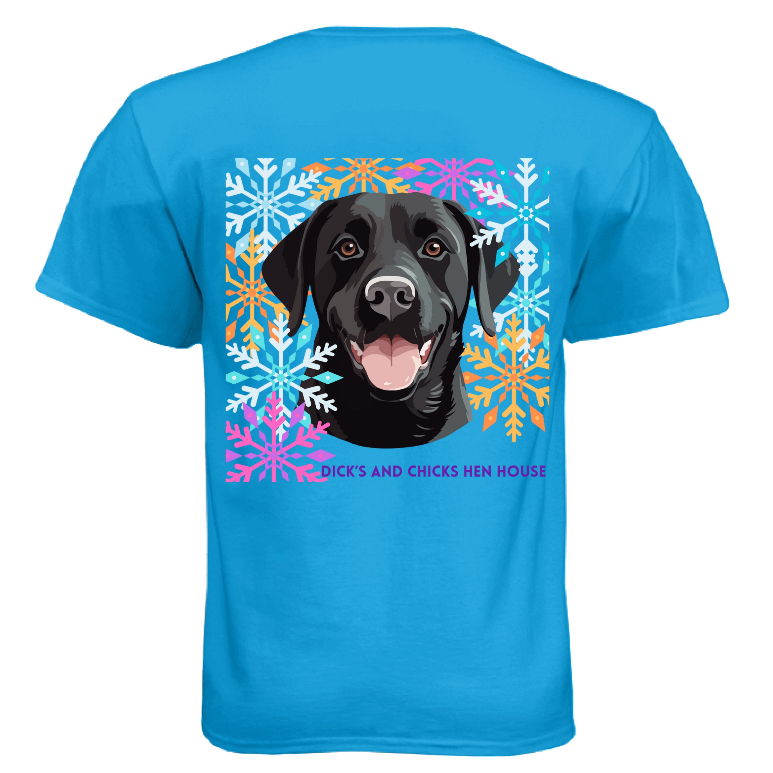 Turquoise - BACK